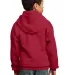 Port  Company Youth Pullover Hooded Sweatshirt PC9 Red back view