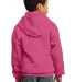 Port  Company Youth Pullover Hooded Sweatshirt PC9 Sangria back view