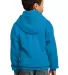 Port  Company Youth Pullover Hooded Sweatshirt PC9 Sapphire back view