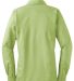 Red House Ladies Herringbone Non Iron Button Down  Winter Green back view