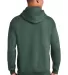 Gildan 18500 Heavyweight Blend Hooded Sweatshirt in Hth sp drk green back view