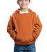 Sport Tek Youth Pullover Hooded Sweatshirt with Co Texas Orange front view