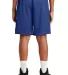 Sport Tek Youth PosiCharge Classic Mesh 8482 Short in True royal back view