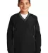 Sport Tek Youth Tipped V Neck Raglan Wind Shirt YS in Black/graph gy front view