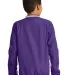 Sport Tek Youth Tipped V Neck Raglan Wind Shirt YS in Purple/white back view