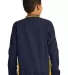 Sport Tek Youth Tipped V Neck Raglan Wind Shirt YS in True navy/gold back view