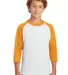 Sport Tek Youth Colorblock Raglan Jersey YT200 in White/gold front view