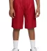 Sport Tek Youth PosiCharge Mesh153 Reversible Shor True Red/White front view