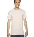 American Apparel TR401 Unisex Tri-Blend Track Tee Tri-Oatmeal front view