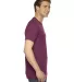 American Apparel TR401 Unisex Tri-Blend Track Tee Tri-Cranberry side view
