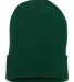 1501 Yupoong Heavyweight Cuffed Knit Cap in Spruce back view