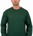 Gildan 1200 DryBlend Crew Neck Sweatshirt in Forest green front view