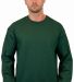 Gildan 1200 DryBlend Crew Neck Sweatshirt in Forest