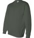 Gildan 1200 DryBlend Crew Neck Sweatshirt in Forest