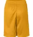 2207 Badger Youth Mesh/Tricot 6-Inch Shorts Gold back view