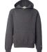 2254 Badger Youth Hooded Sweatshirt in Charcoal front view