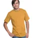 2905 Bayside Adult Union Made Cotton Tee Gold front view