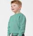3317 Rabbit Skins Toddler/Juvenile Crew Neck Sweat in Saltwater side view
