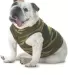 3902 Doggie Skins Baby Rib Tank in Green woodland front view