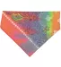 3905 Doggie Skins Bandana in Tye dye paisley front view