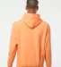 0320 Tultex Unisex Pullover Hoodie in Cantaloupe back view