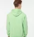 0320 Tultex Unisex Pullover Hoodie in Neo mint back view
