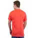 Tultex 202 Unisex Tee with a Tear-Away Tag  in Heather orange back view