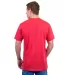 Tultex 202 Unisex Tee with a Tear-Away Tag  in Heather red back view