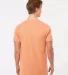 Tultex 202 Unisex Tee with a Tear-Away Tag  in Cantaloupe back view