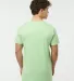 Tultex 202 Unisex Tee with a Tear-Away Tag  in Neo mint back view