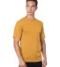 5040 Bayside Adult Short-Sleeve Cotton Tee Gold front view