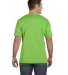 6901 LA T Adult Fine Jersey T-Shirt in Key lime back view