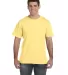 6901 LA T Adult Fine Jersey T-Shirt in Butter front view