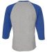 6930 LA T Adult Vintage Baseball T-Shirt in Vintage heather/vintage royal back view