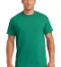 8000 Gildan Adult DryBlend T-Shirt in Kelly green front view