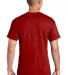 8000 Gildan Adult DryBlend T-Shirt in Sprt scarlet red back view