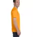 8000 Gildan Adult DryBlend T-Shirt in Tennessee orange side view