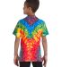 H1000b tie dye Youth Tie-Dyed Cotton Tee in Woodstock back view