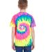 H1000b tie dye Youth Tie-Dyed Cotton Tee in Neon rainbow back view