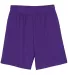 N5184 A4 7 Inch Adult Lined Micromesh Shorts PURPLE front view