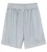 N5255 A4 9 Inch Adult Lined Micromesh Shorts SILVER front view