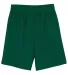 N5255 A4 9 Inch Adult Lined Micromesh Shorts FOREST GREEN front view