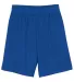 N5255 A4 9 Inch Adult Lined Micromesh Shorts ROYAL front view