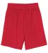 N5255 A4 9 Inch Adult Lined Micromesh Shorts SCARLET front view