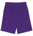 N5255 A4 9 Inch Adult Lined Micromesh Shorts PURPLE front view