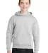 JERZEES 996Y NuBlend Youth Hooded Pullover Sweatsh in Ash front view