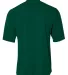 NB3143 A4 Youth Tek 2-Button Henley FOREST GREEN back view