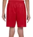 A4 NB5301 Youth Shorts SCARLET back view