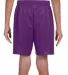 A4 NB5301 Youth Shorts PURPLE back view