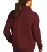 Champion S700 Logo 50/50 Pullover Hoodie in Maroon back view